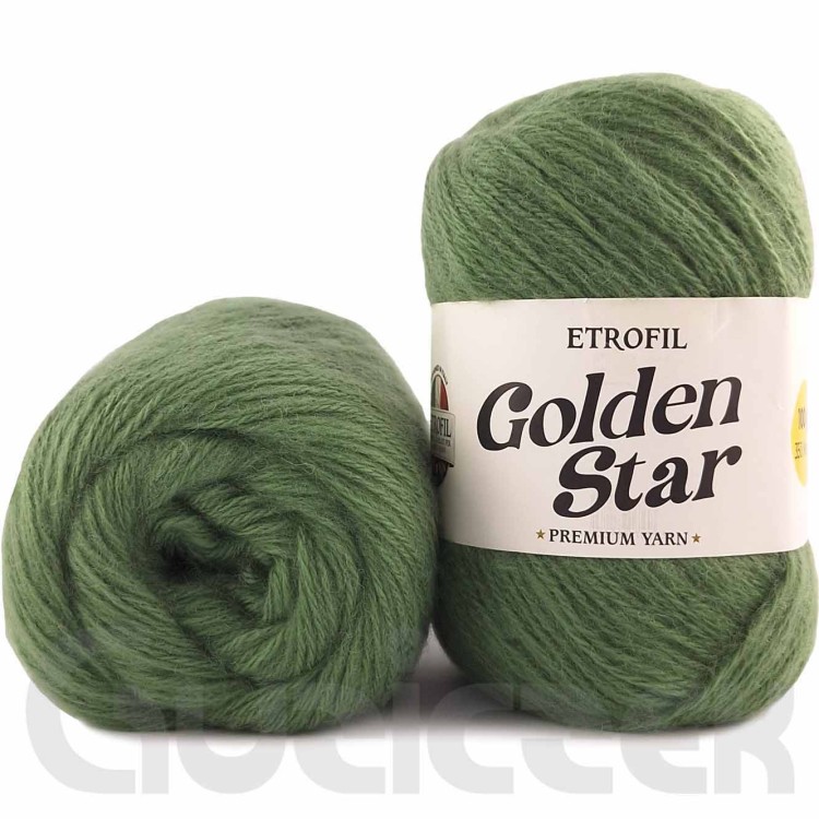 Włóczka Etrofil Golden Star 74067 zielony